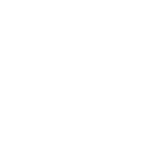 saco 50